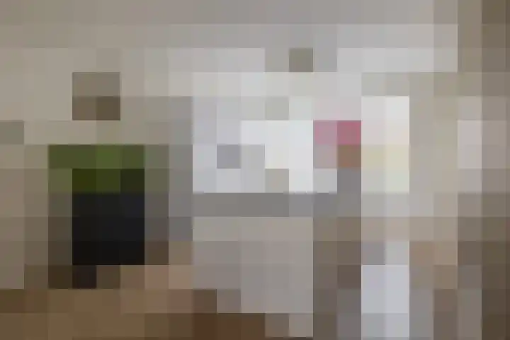 Dennelaar 18 Veghel thumbnail 15