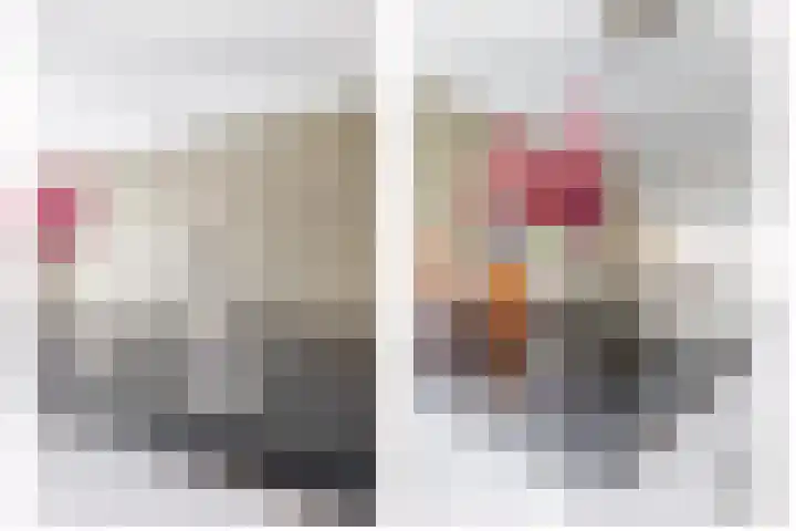 Dennelaar 18 Veghel thumbnail 16
