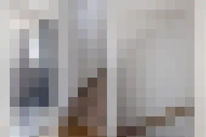 Dennelaar 18 Veghel thumbnail 17
