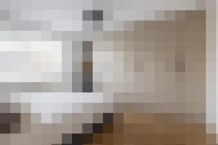 Dennelaar 18 Veghel thumbnail 18