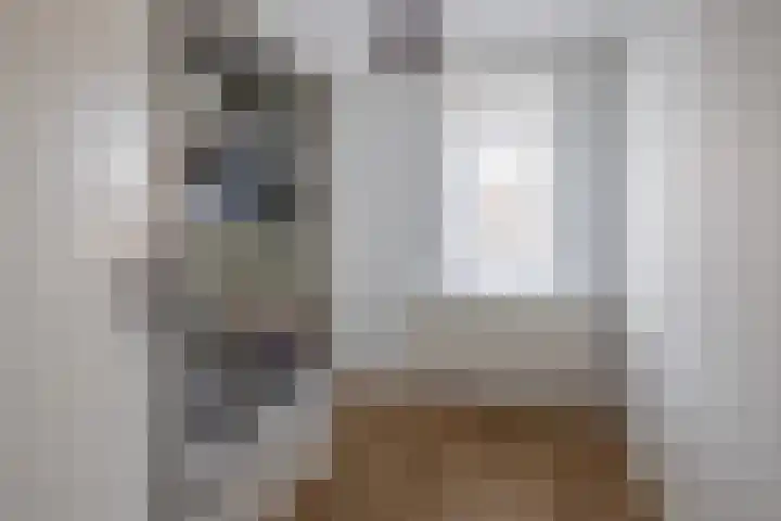 Dennelaar 18 Veghel thumbnail 22