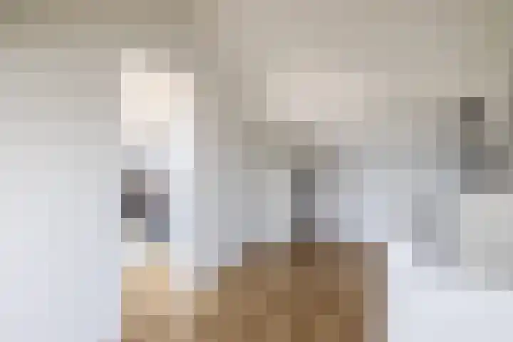 Dennelaar 18 Veghel thumbnail 24
