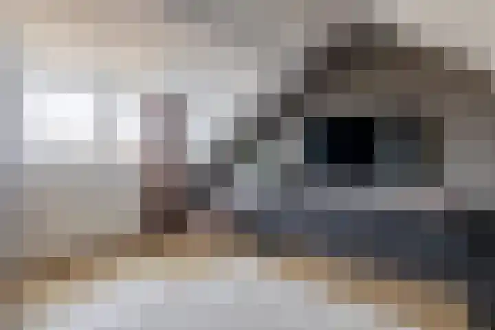 Dennelaar 18 Veghel thumbnail 26