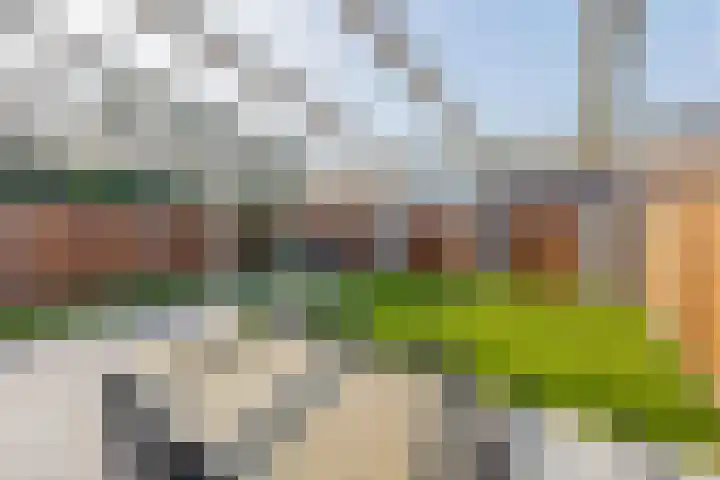 Dennelaar 18 Veghel thumbnail 29