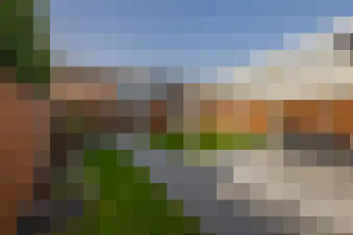 Dennelaar 18 Veghel thumbnail 30