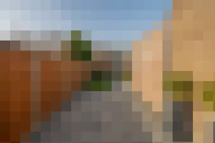 Dennelaar 18 Veghel thumbnail 31
