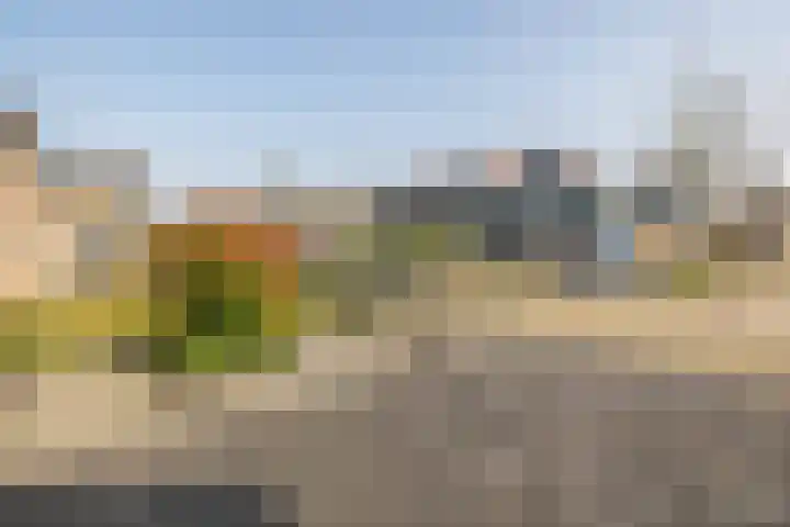 Dennelaar 18 Veghel thumbnail 36