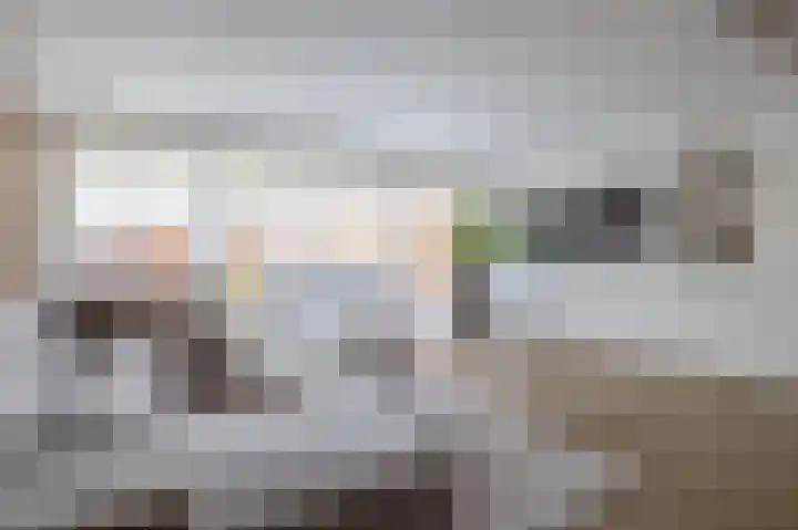 Dennelaar 18 Veghel thumbnail 6