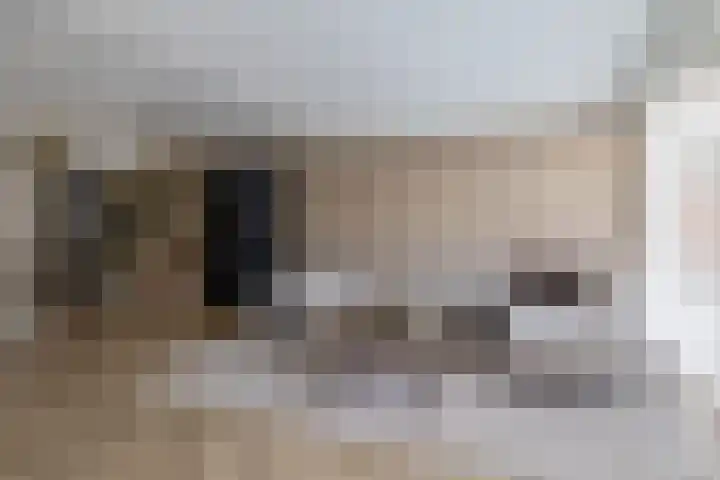 Dennelaar 18 Veghel thumbnail 7