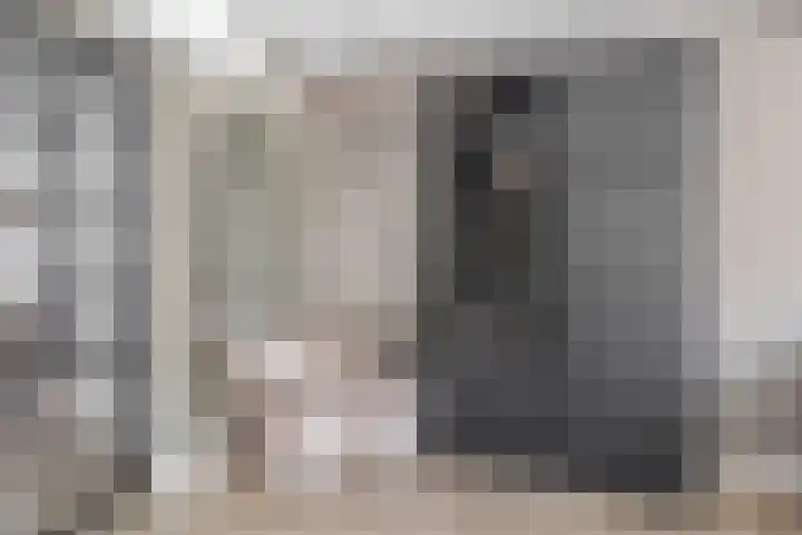 Dennelaar 18 Veghel thumbnail 8