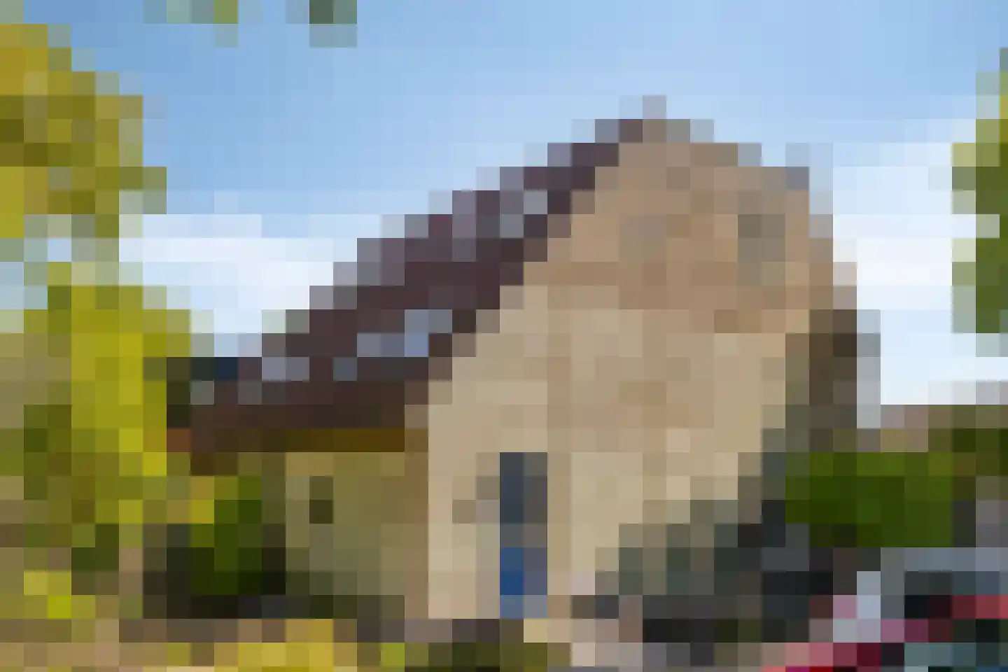 Dennelaar 25 Veghel