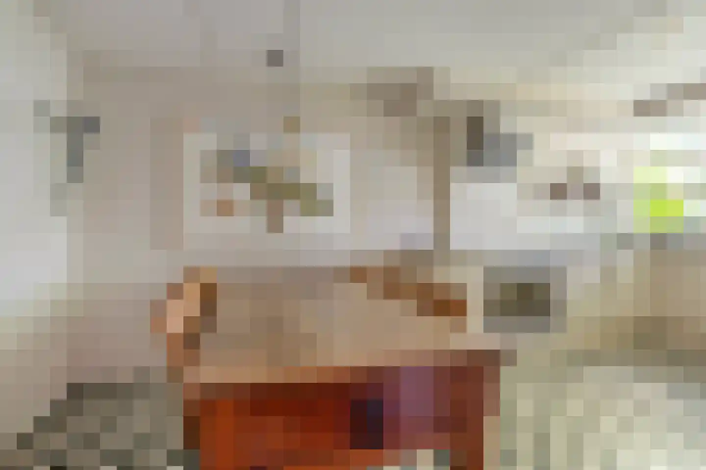 Dennelaar 27 Veghel thumbnail 11
