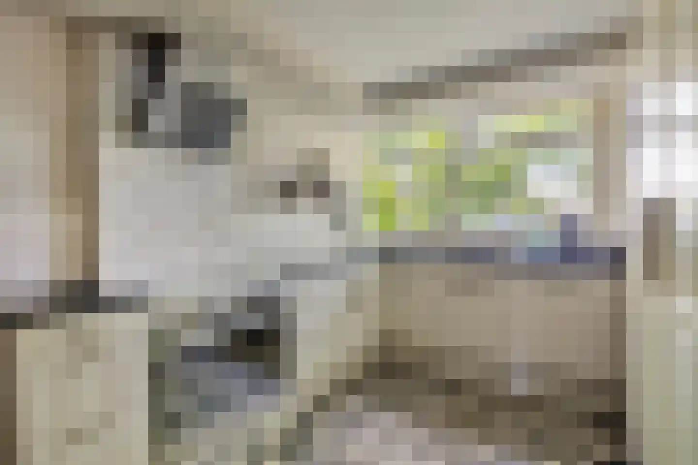 Dennelaar 27 Veghel thumbnail 13