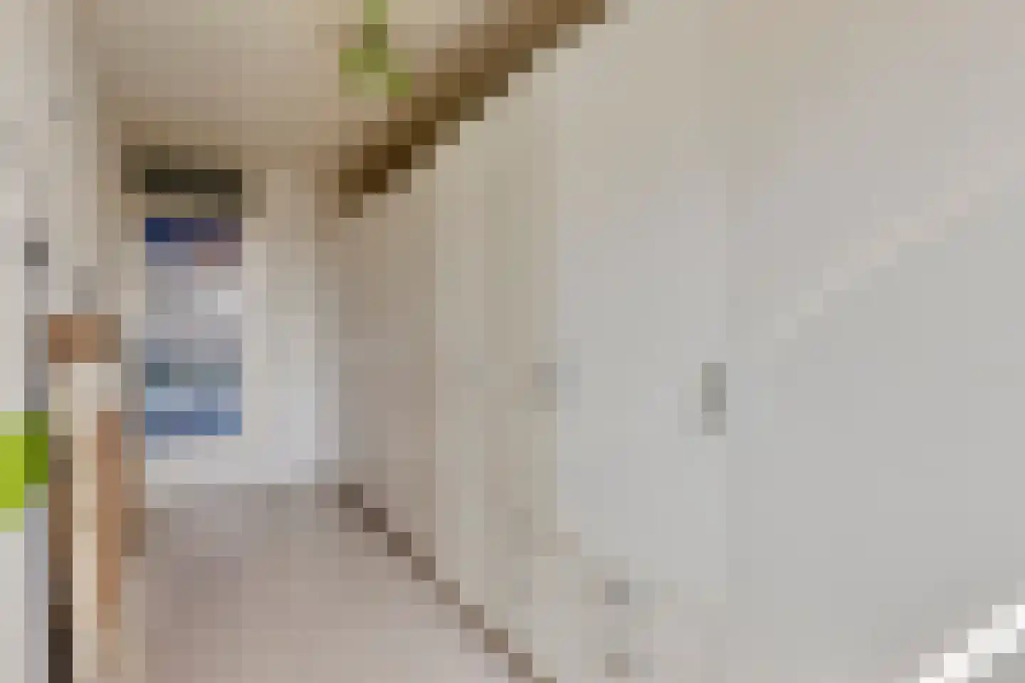Dennelaar 27 Veghel thumbnail 22