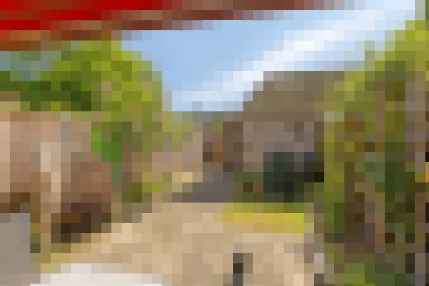 Dennelaar 27 Veghel thumbnail 28