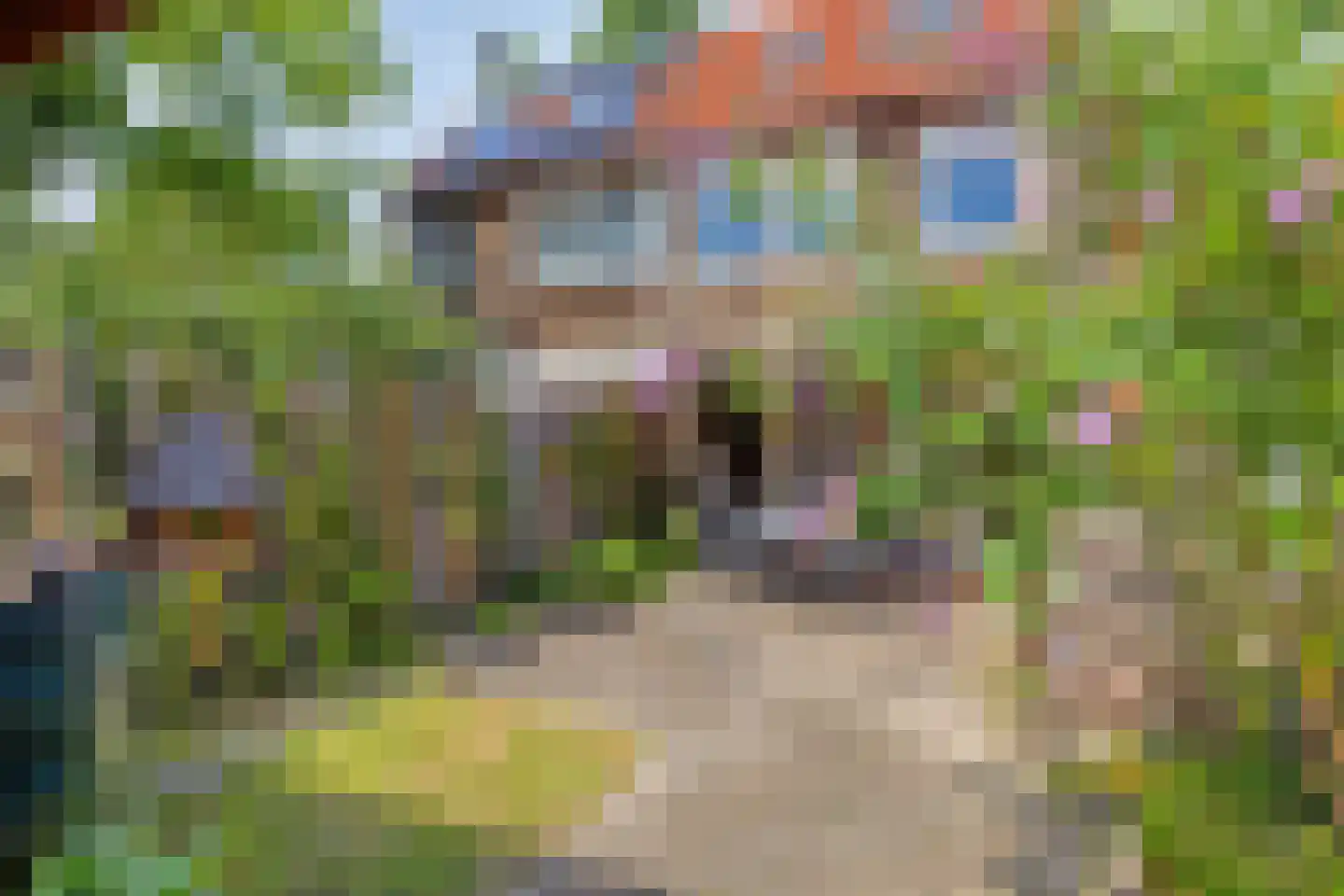 Dennelaar 27 Veghel thumbnail 29