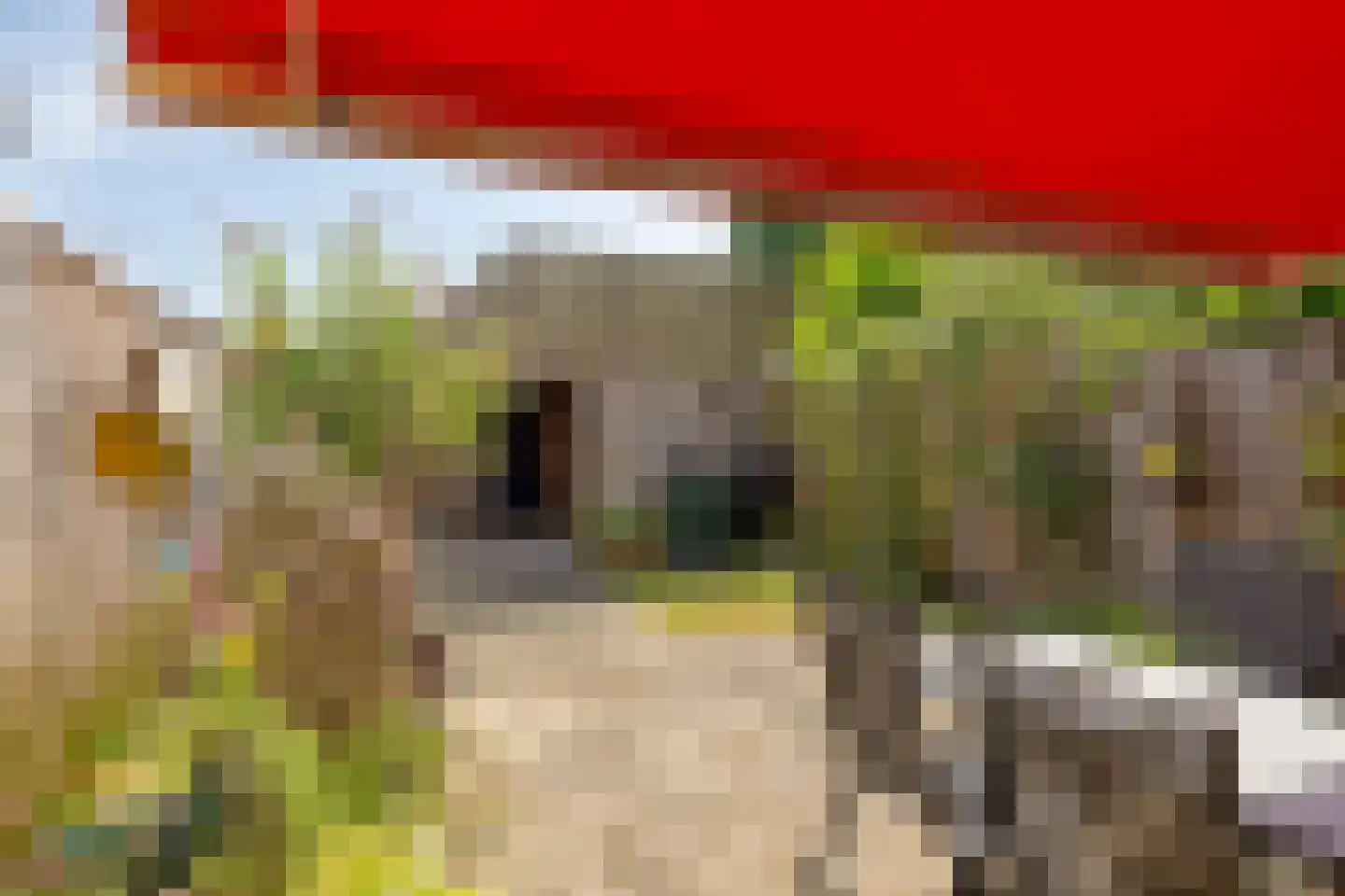 Dennelaar 27 Veghel thumbnail 31