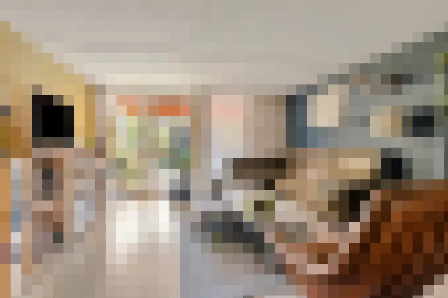 Dennelaar 27 Veghel thumbnail 7