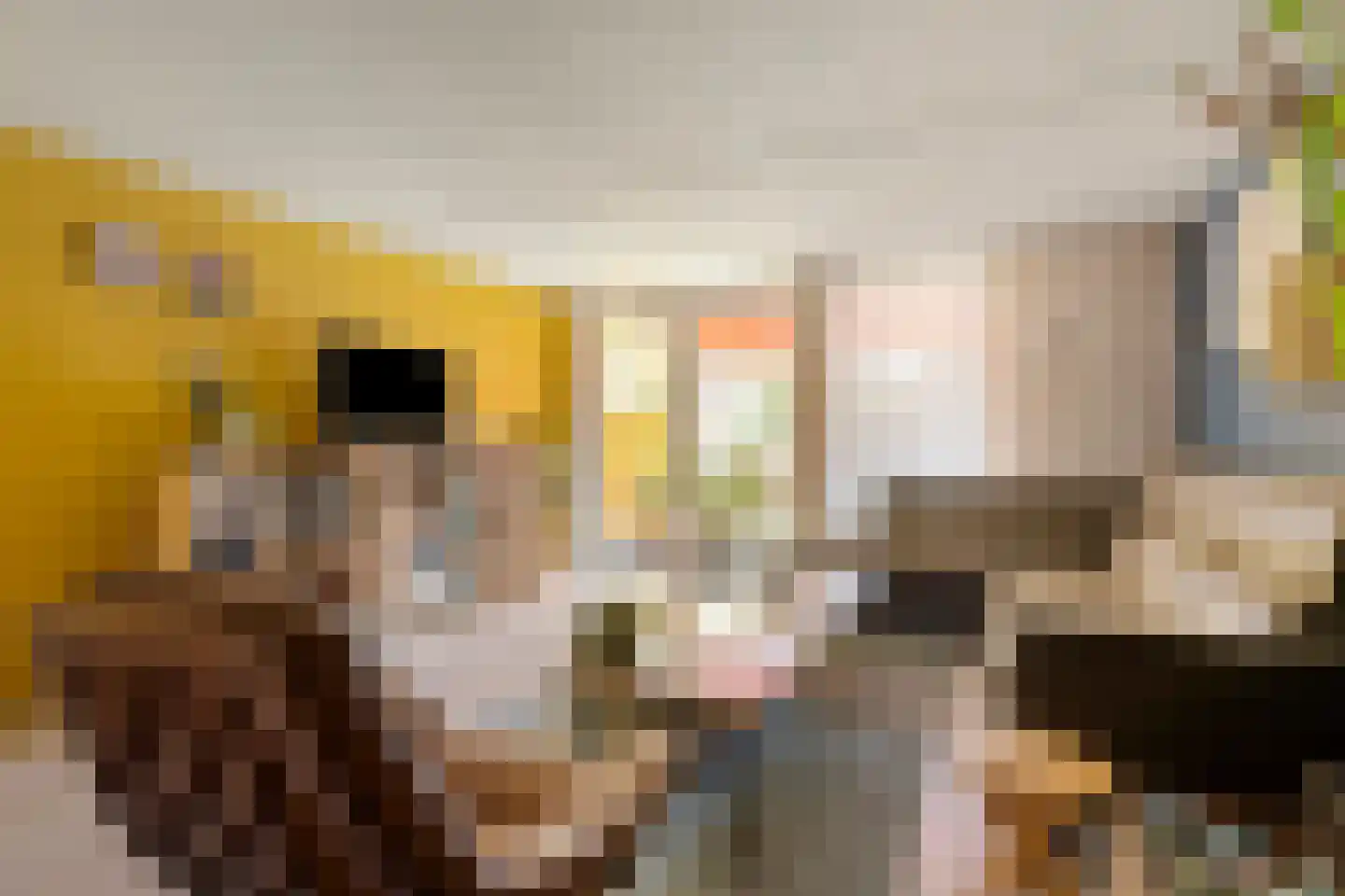 Dennelaar 27 Veghel thumbnail 9