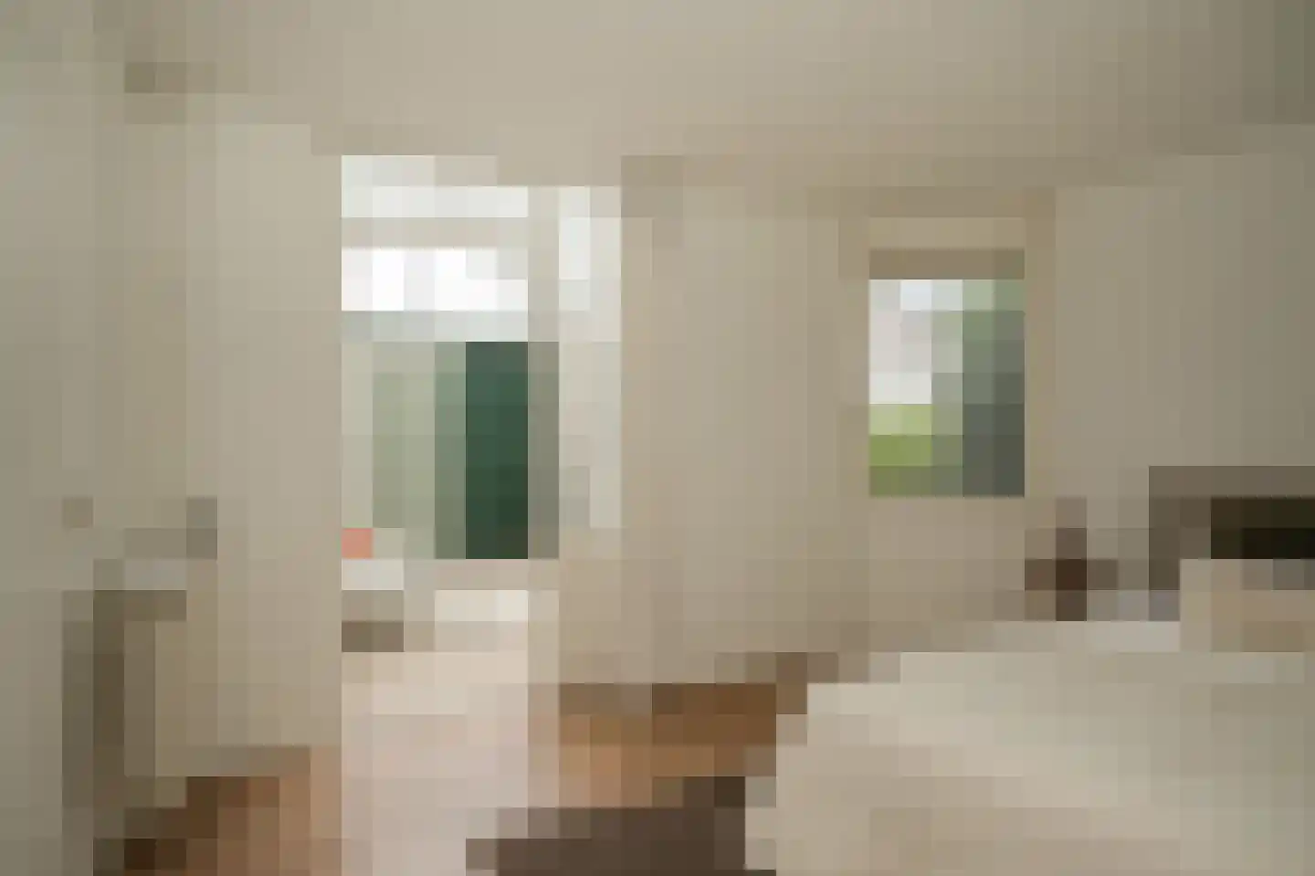 Dennelaar 43 Veghel thumbnail 19