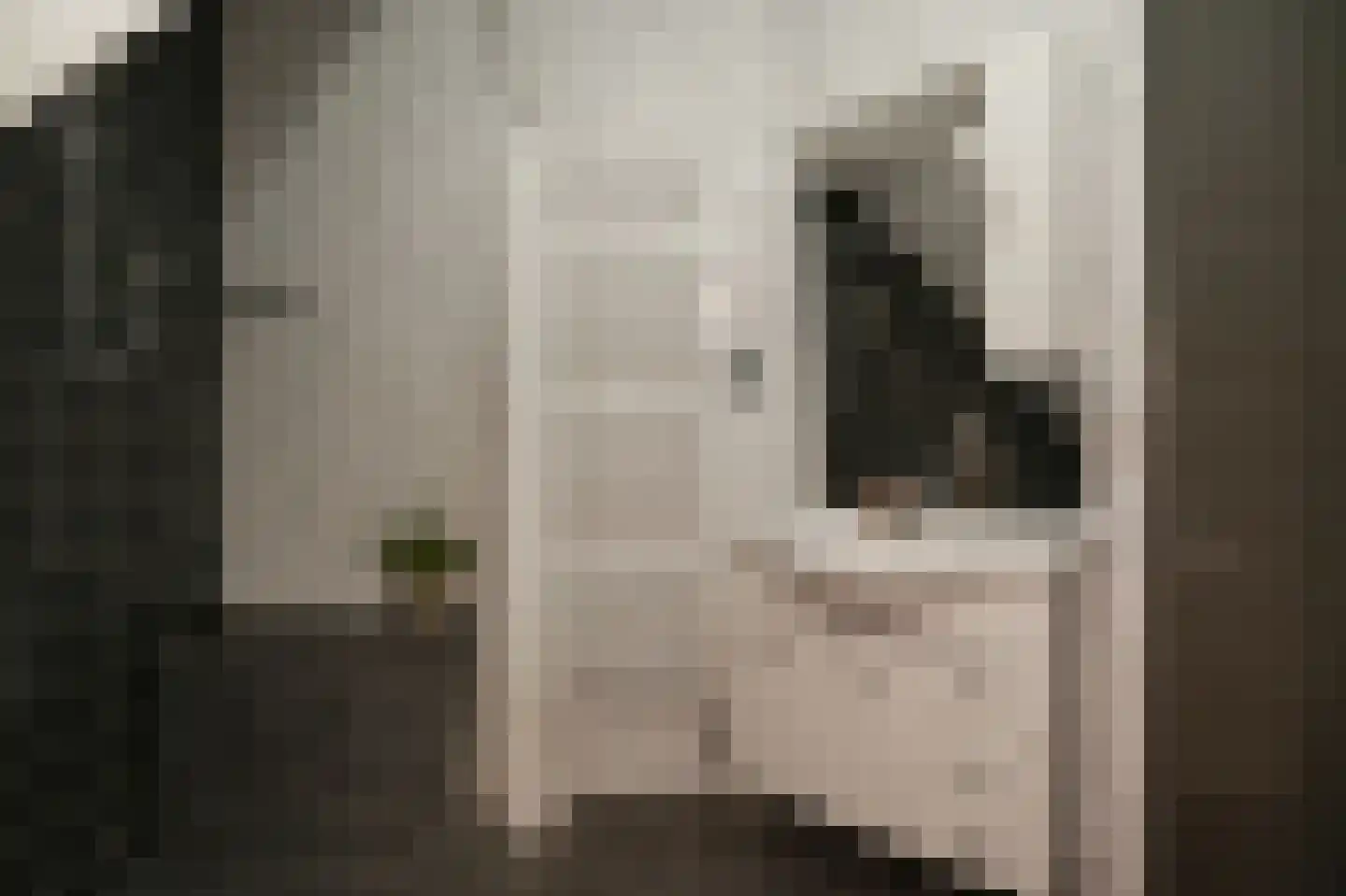 Dennelaar 43 Veghel thumbnail 23