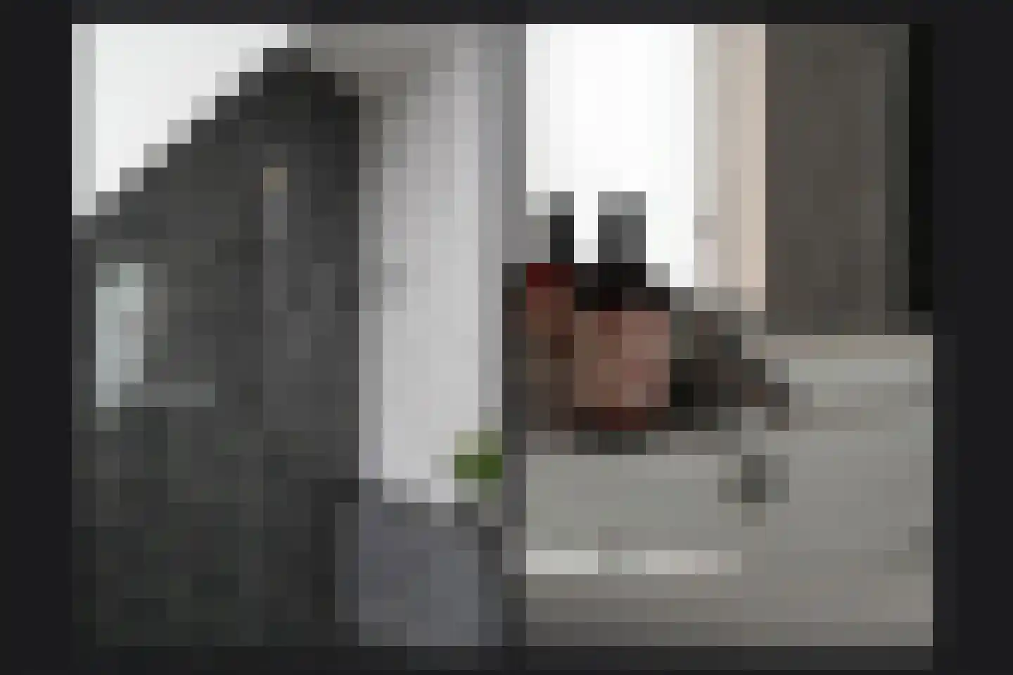 Dennelaar 43 Veghel thumbnail 24