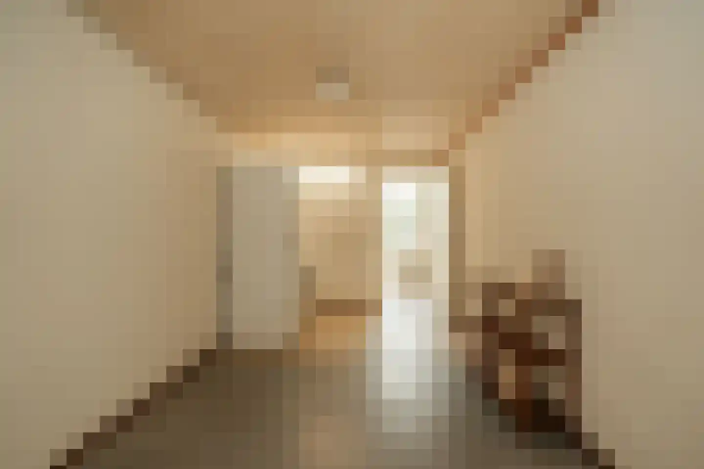 Dennelaar 43 Veghel thumbnail 27