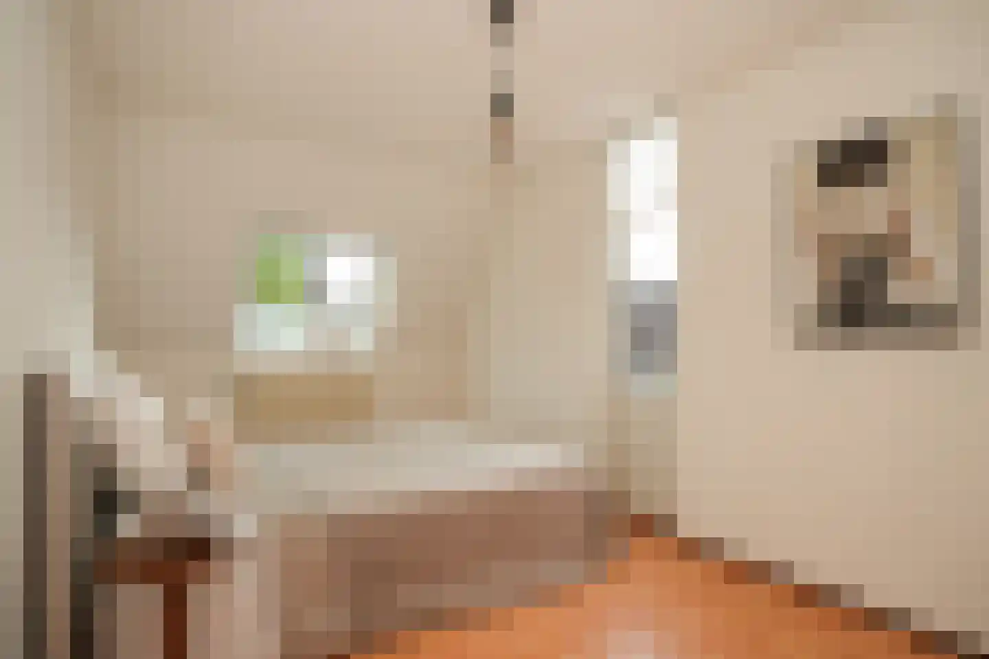 Dennelaar 43 Veghel thumbnail 28