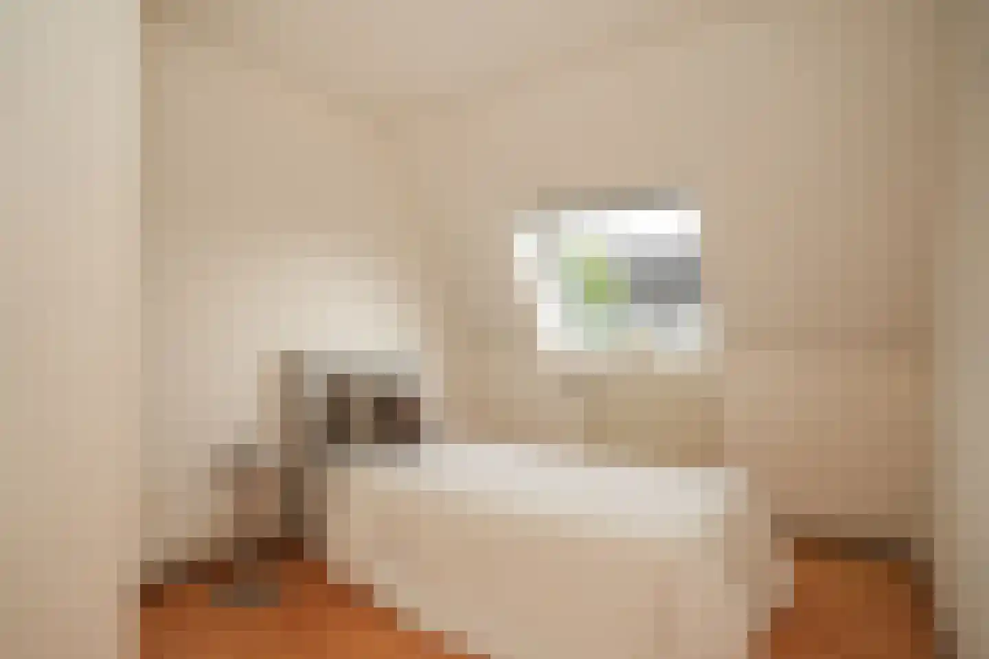 Dennelaar 43 Veghel thumbnail 31