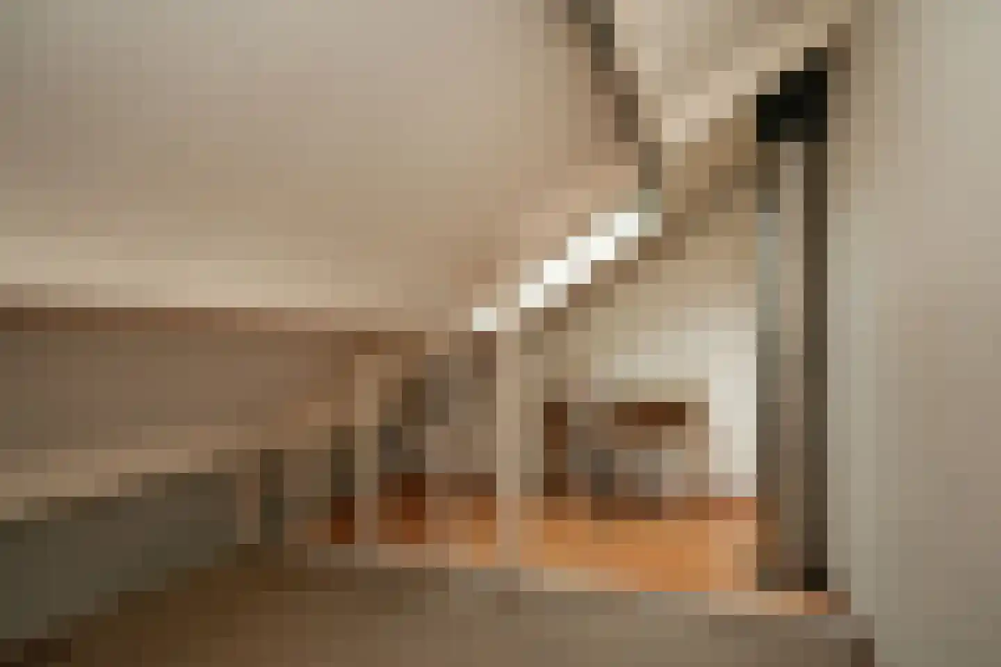 Dennelaar 43 Veghel thumbnail 32