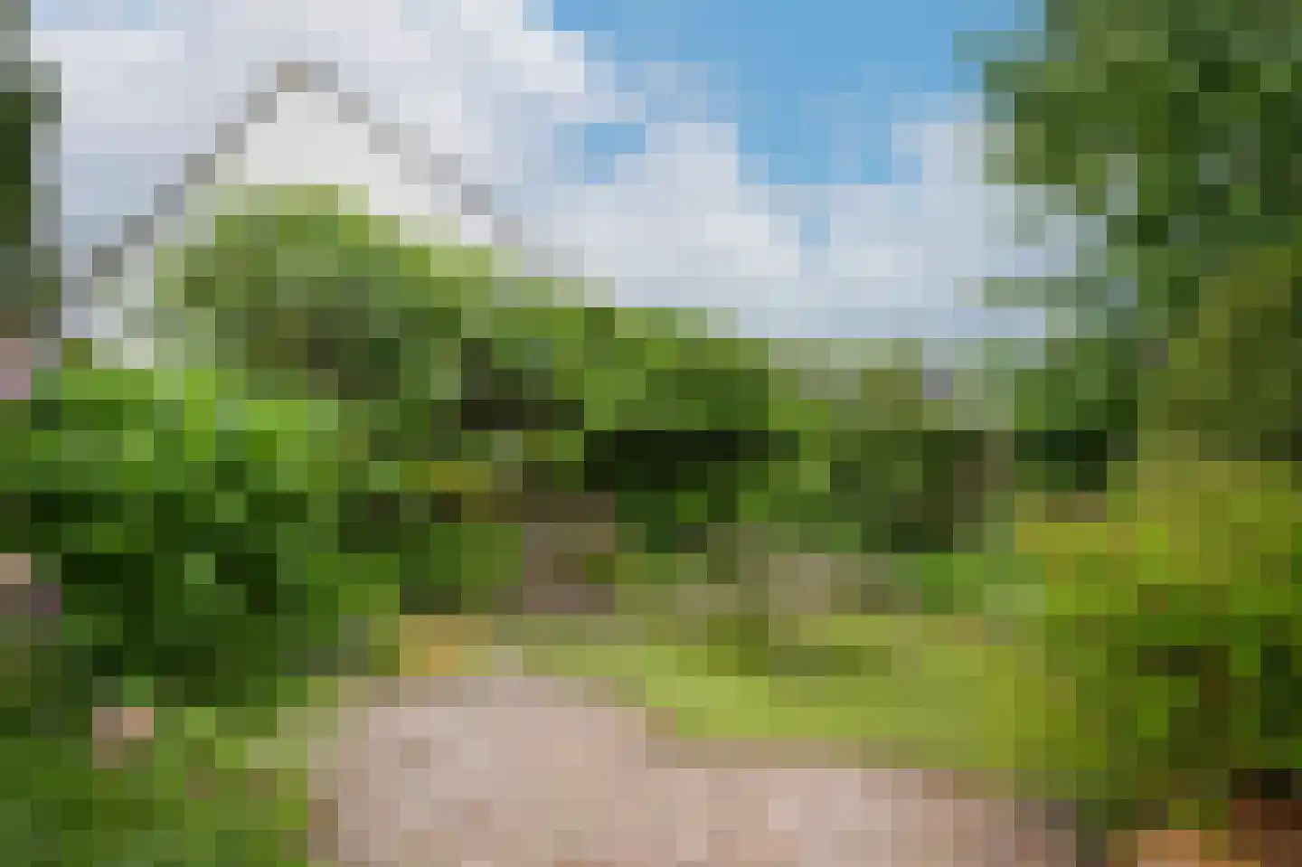 Dennelaar 43 Veghel thumbnail 34