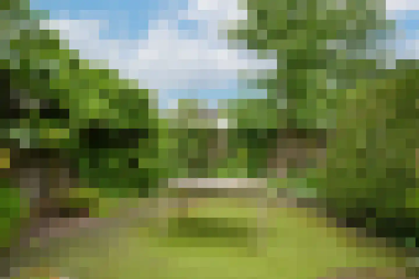 Dennelaar 43 Veghel thumbnail 35