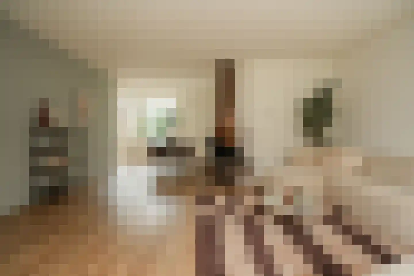 Dennelaar 43 Veghel thumbnail 4