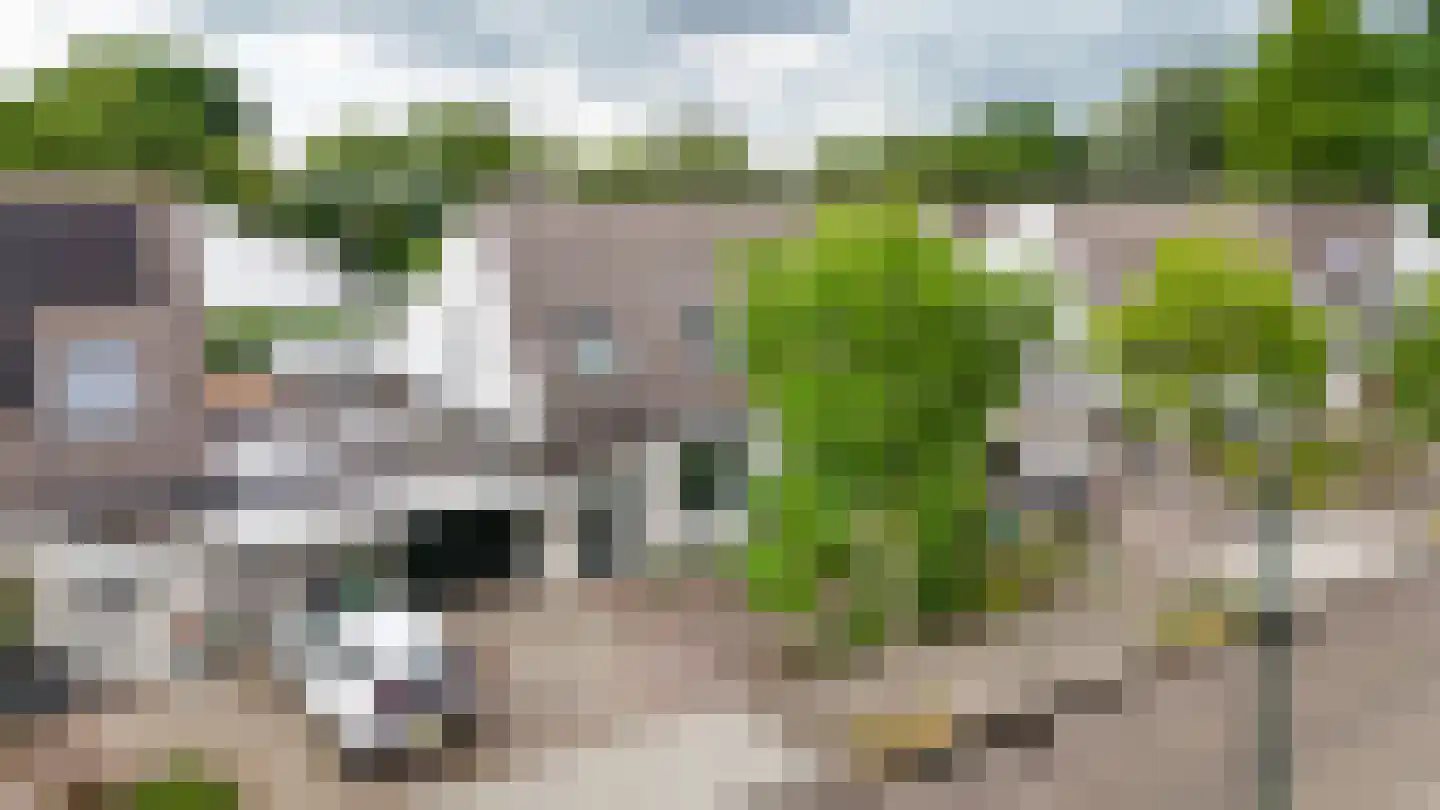 Dennelaar 43 Veghel thumbnail 41