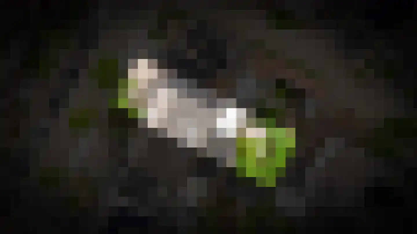 Dennelaar 43 Veghel thumbnail 43