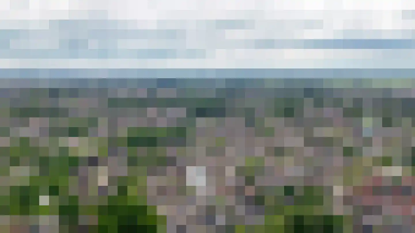 Dennelaar 43 Veghel thumbnail 44