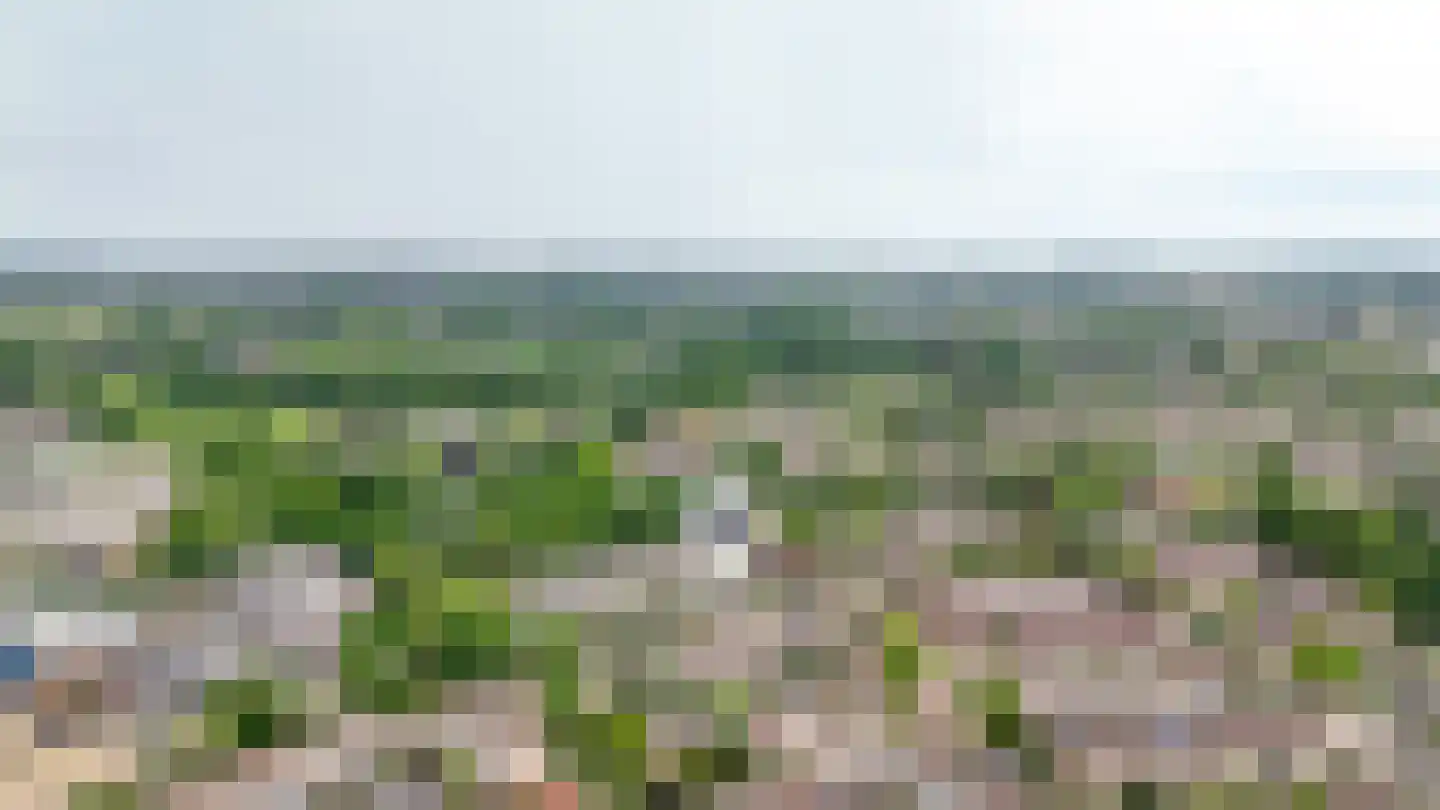 Dennelaar 43 Veghel thumbnail 45