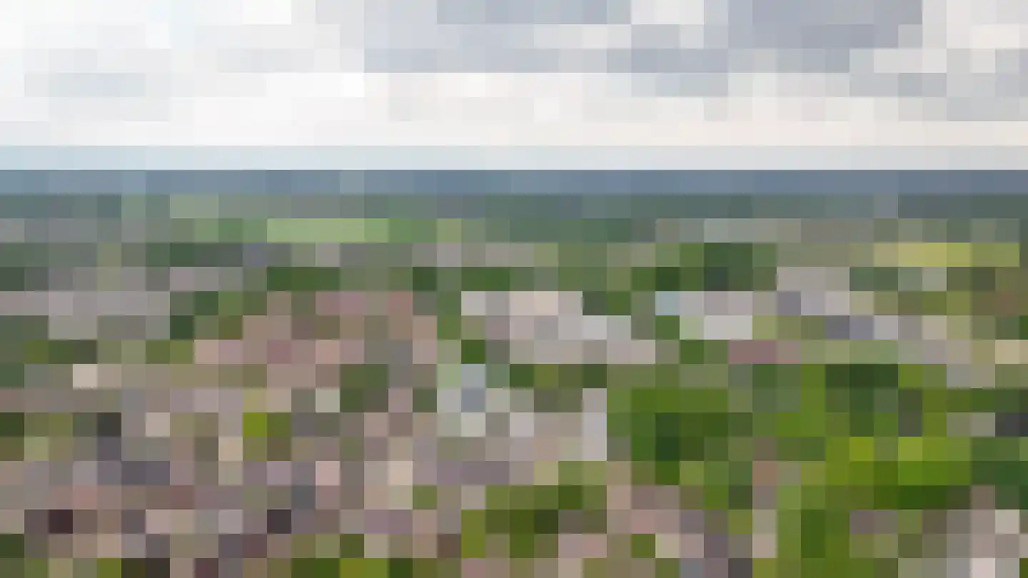 Dennelaar 43 Veghel thumbnail 46