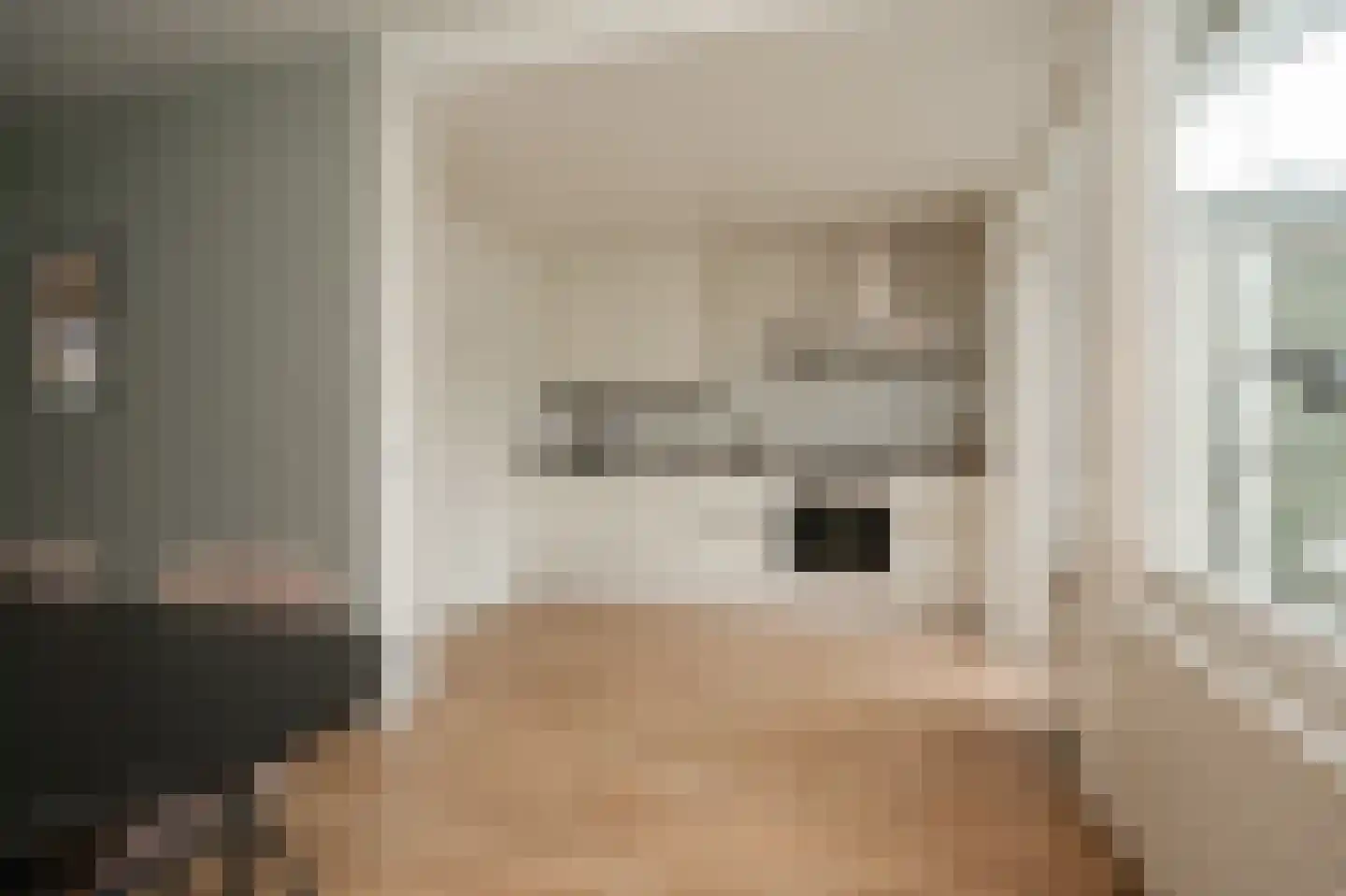 Dennelaar 43 Veghel thumbnail 8