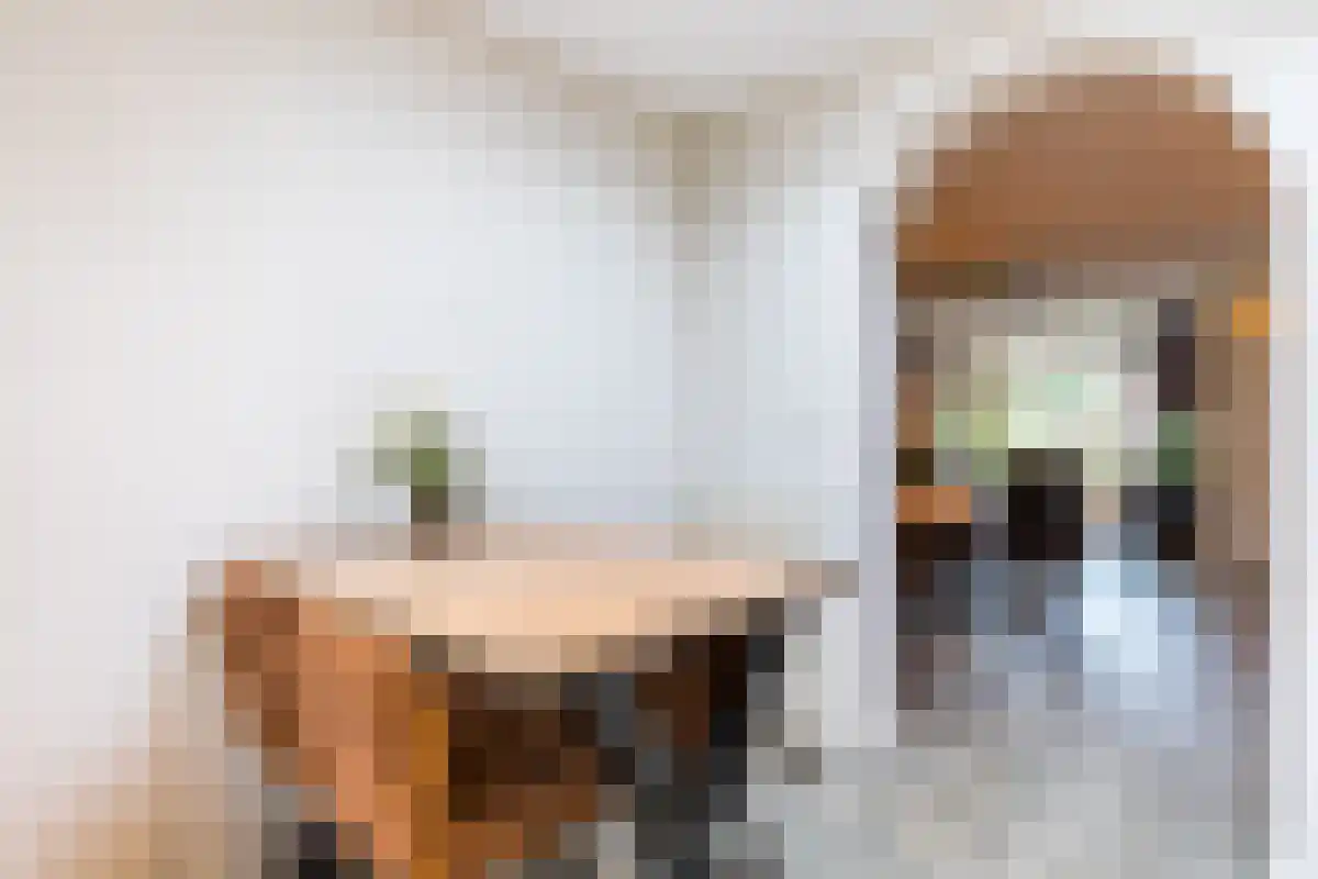 Dennelaar 74 Veghel thumbnail 5