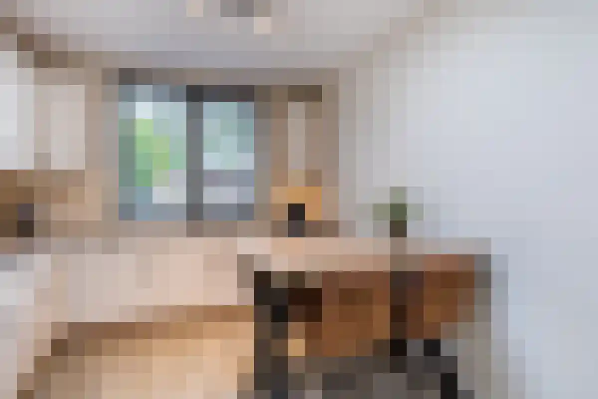 Dennelaar 74 Veghel thumbnail 6