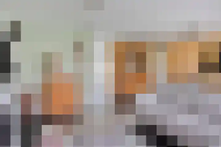 Dennemarkenhof 41 Roermond thumbnail 12
