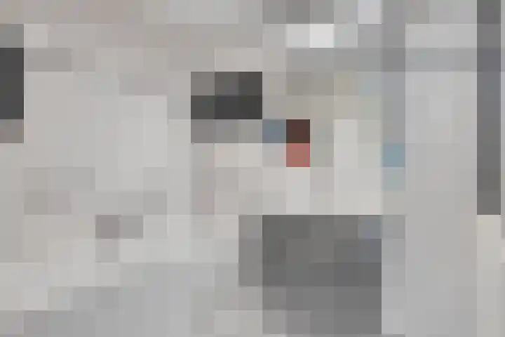 Dennemarkenhof 41 Roermond thumbnail 17