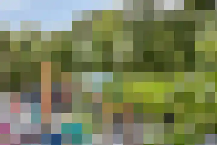 Dennemarkenhof 41 Roermond thumbnail 26