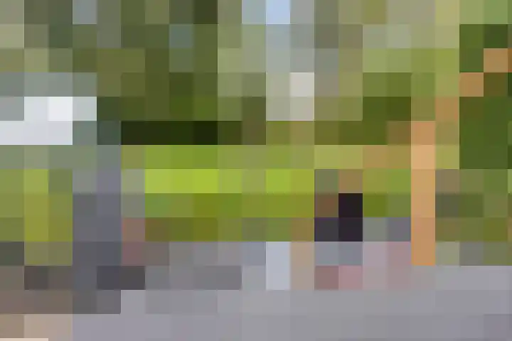Dennemarkenhof 41 Roermond thumbnail 28