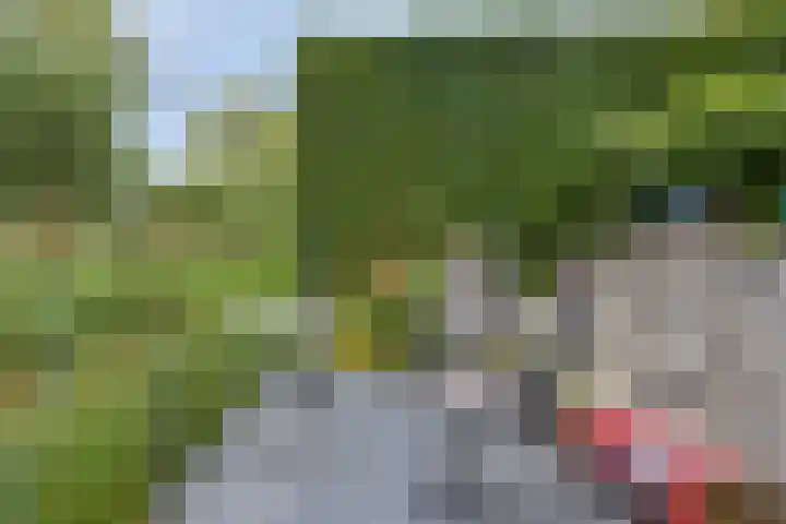 Dennemarkenhof 41 Roermond thumbnail 29