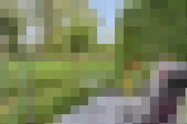Dennemarkenhof 41 Roermond thumbnail 30