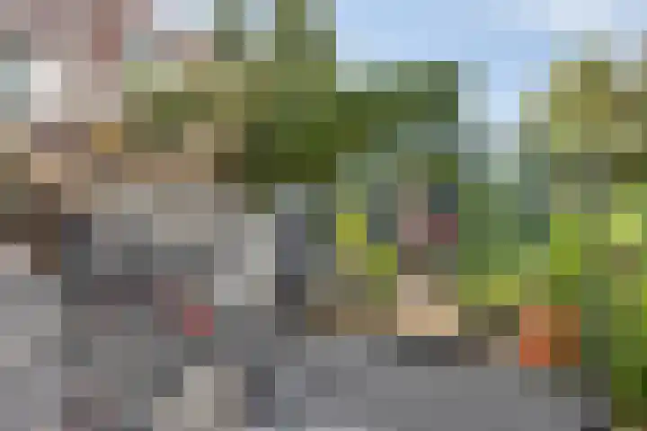 Dennemarkenhof 41 Roermond thumbnail 31