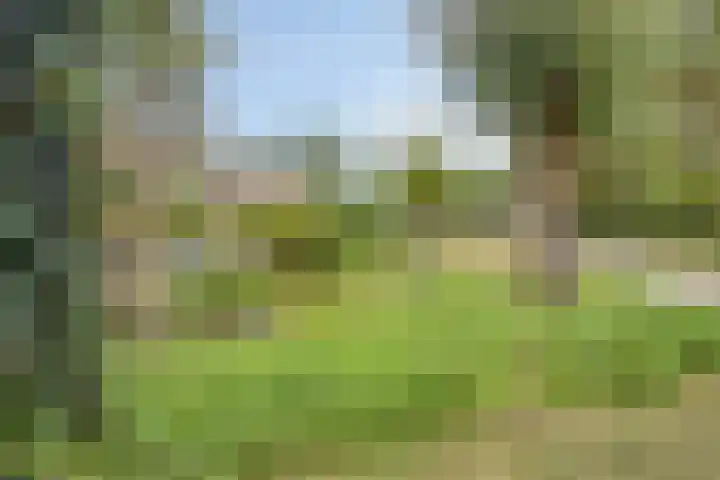 Dennemarkenhof 41 Roermond thumbnail 35