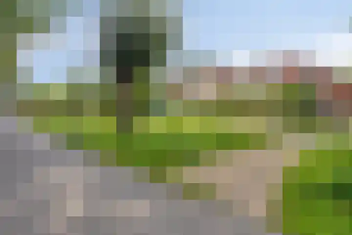 Dennemarkenhof 41 Roermond thumbnail 36